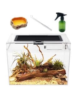 Terrario de Crecimiento para Reptiles Mini, 12'' x 7'' x