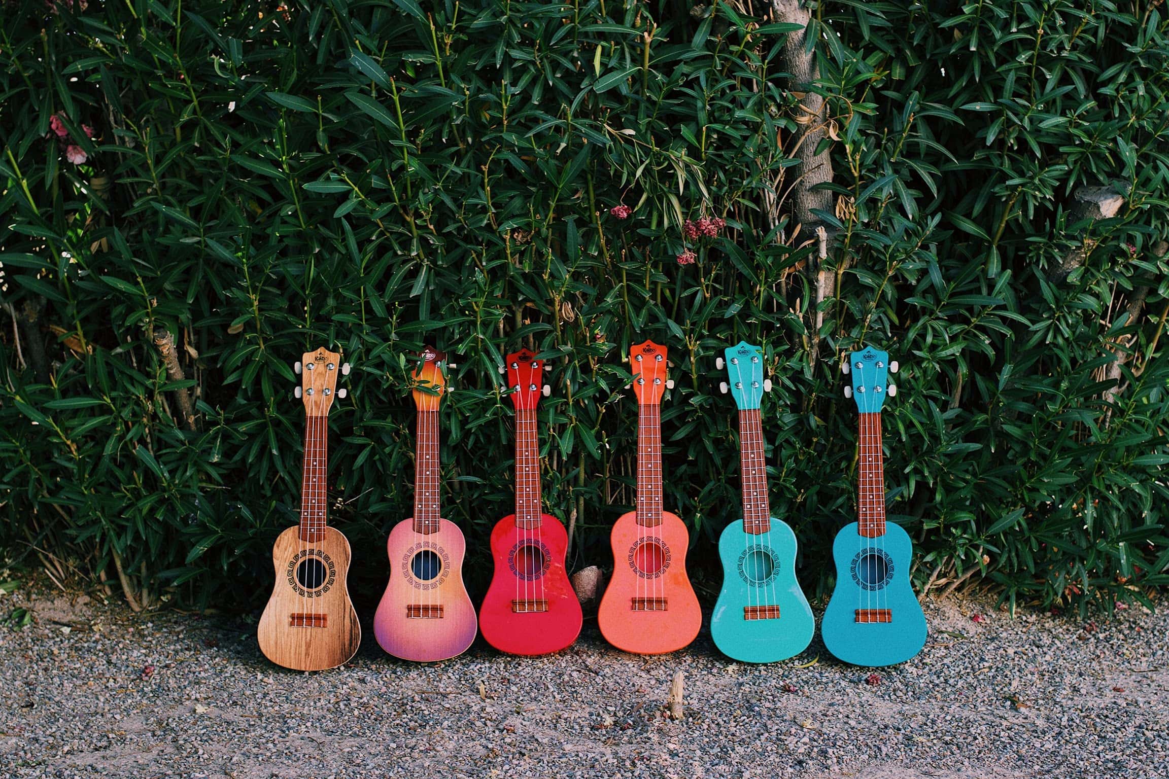 Ukelele Soprano KaKo'o Music Sunrise Orange - Afinadores de - Imagen 9