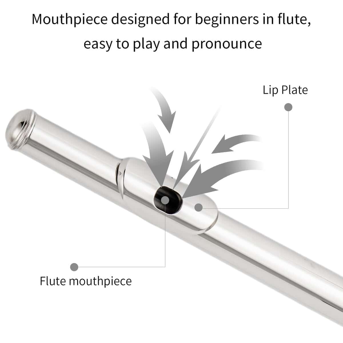 Flauta C cerrada Aisiweier C con grasa para juntas, varilla - Imagen 3
