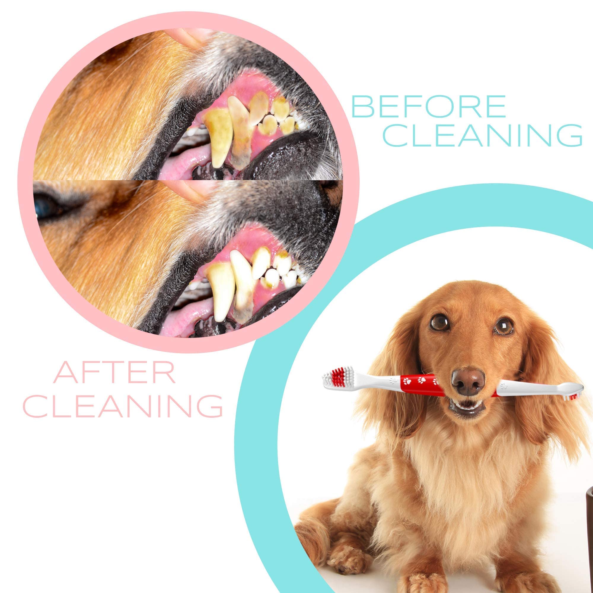 Cepillo de dientes para perros y gatos con cerdas suaves - - Imagen 7