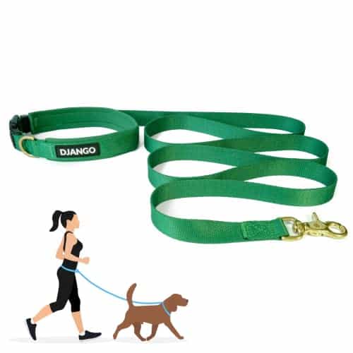 Correa de perro ajustable manos libres DJANGO para pasear,