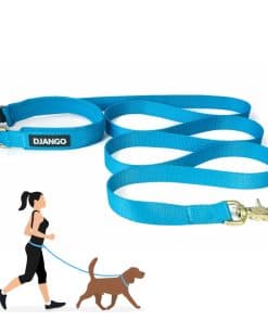 Correa de perro de aventura ajustable y manos libres DJANGO