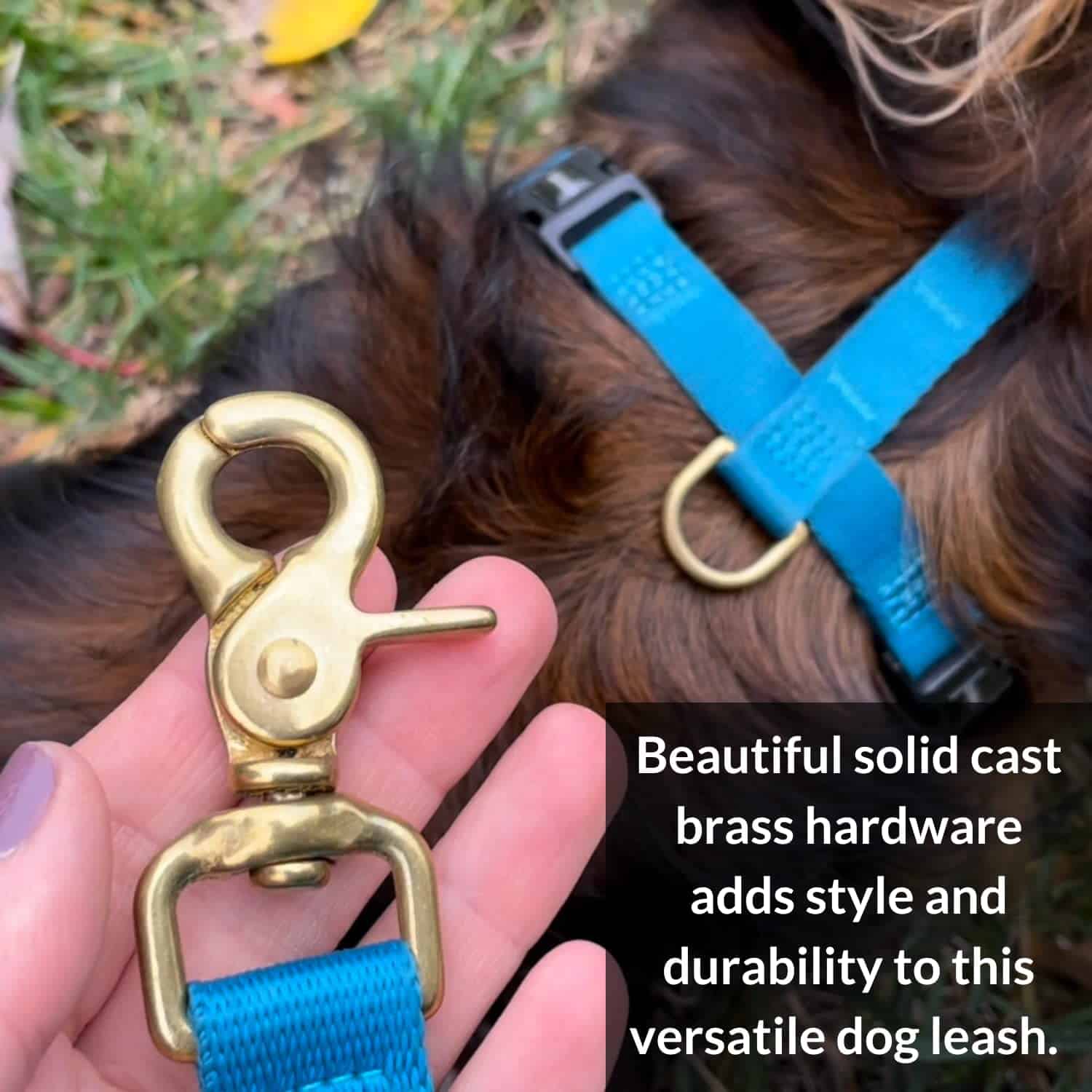 Correa de perro de aventura ajustable y manos libres DJANGO - Imagen 6