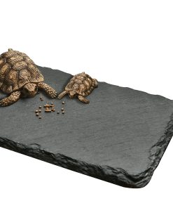 Plataforma de Descanso para Tortugas Cakocaco, Área de