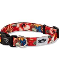 Collar para Perro Shaka's Salty Paws para Niño & Niña