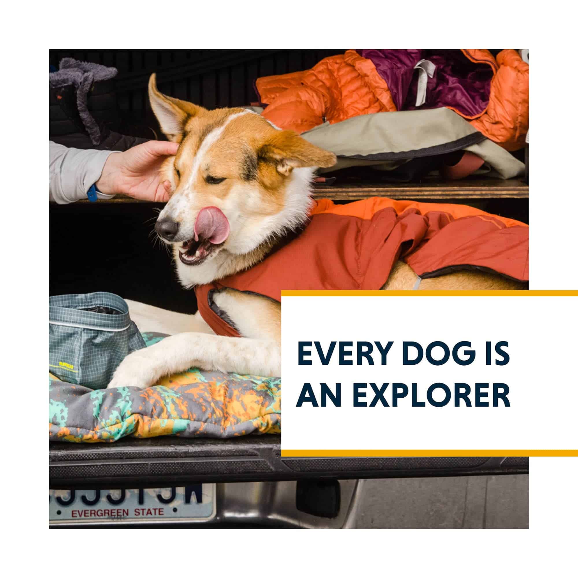 Ruffwear, Cama Basecamp para Perros, Camping y Viaje, - Imagen 10