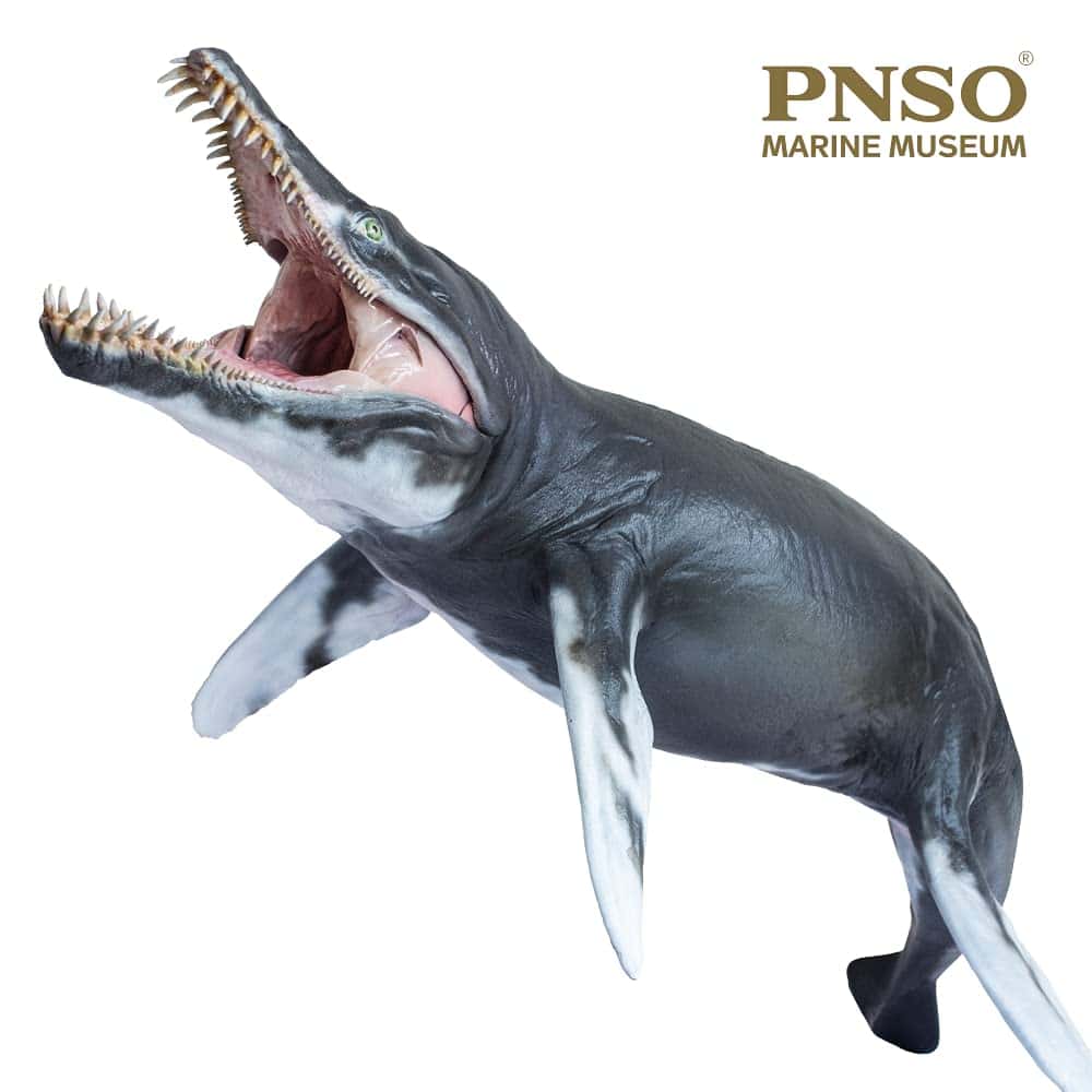 Modelos de Animales Prehistóricos PNSO (Jeff El KRONOSAURUS - Imagen 8