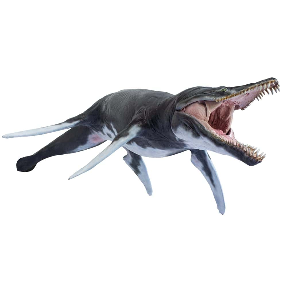 Modelos de Animales Prehistóricos PNSO (Jeff El KRONOSAURUS