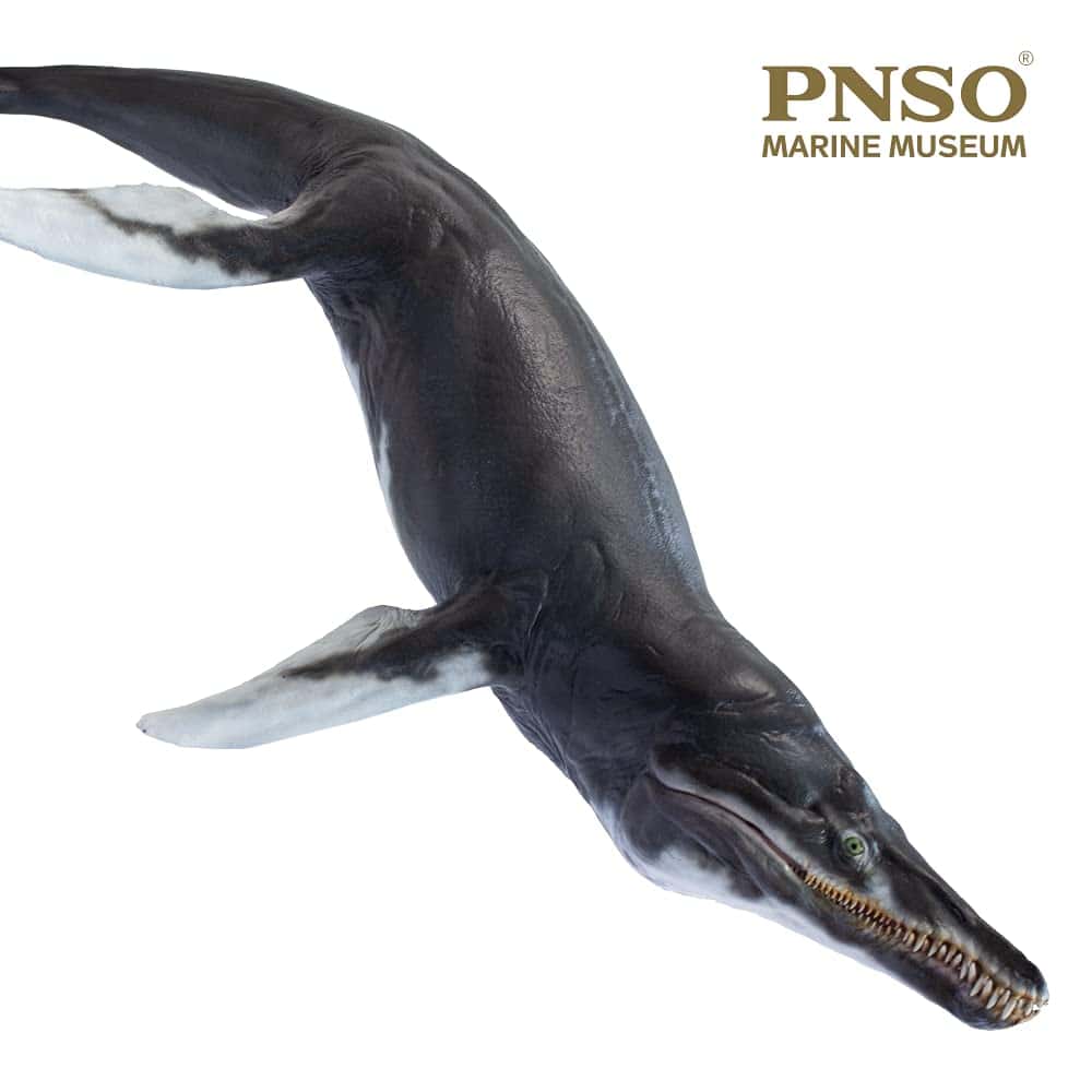 Modelos de Animales Prehistóricos PNSO (Jeff El KRONOSAURUS - Imagen 7