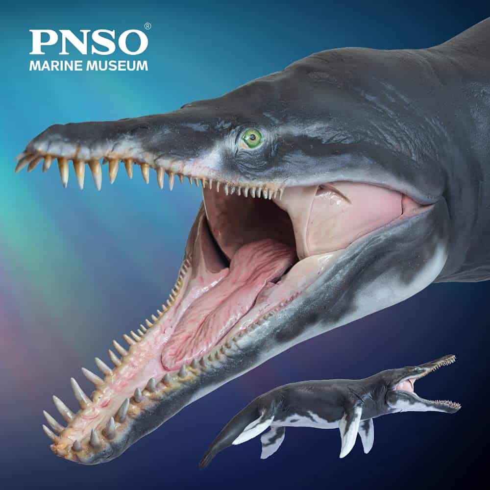 Modelos de Animales Prehistóricos PNSO (Jeff El KRONOSAURUS - Imagen 3