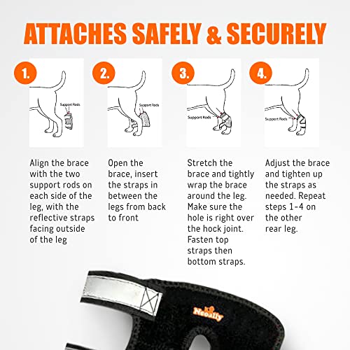 NeoAlly - 3-en-1 Soporte Corto para la Pata Trasera de - Imagen 10