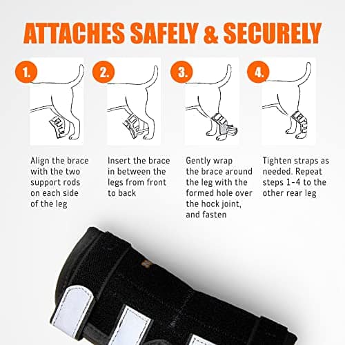 NeoAlly - 3 en 1 Protector de Pata Trasera Larga para - Imagen 10