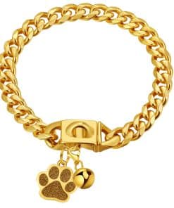Collar para Perros de Cadena de Oro de Lujo Collar de Perro