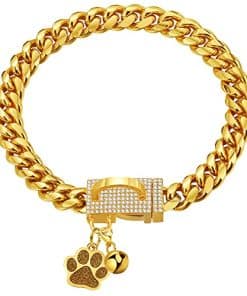 Collar de Perro de Acero Inoxidable de Lujo LuxLife, 10mm