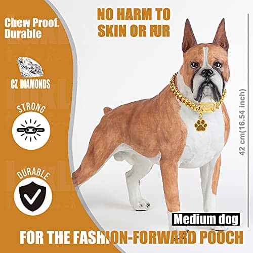 Collar de Cadena para Perros de Lujo en Oro, Collar de - Imagen 8