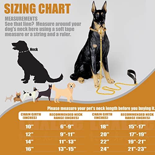 Collar de Cadena para Perros de Lujo en Oro, Collar de - Imagen 7
