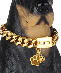 Collar de Cadena para Perros Luxlife 15mm/19mm de Espesor