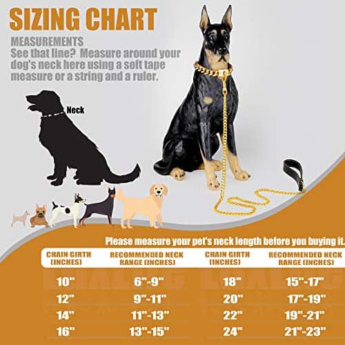 Collar de Cadena para Perros Luxlife 15mm/19mm de Espesor - Imagen 3