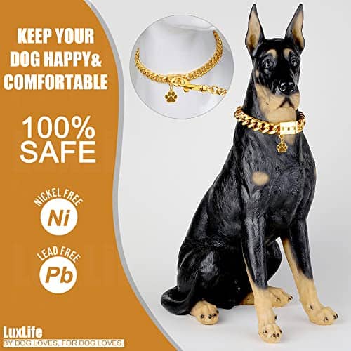 Collar de Cadena para Perros Luxlife 15mm/19mm de Espesor - Imagen 6