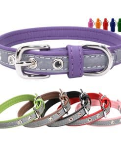 Collar de Perro Reflectante y Cómodo con Placa de