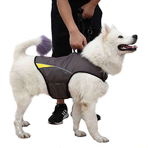 Chaleco de Calmante para Perros con Ansiedad Mantener con - Imagen 4