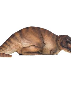 PNSO Serie Museos de Dinosaurios (Andrea El Tyrannosaurus