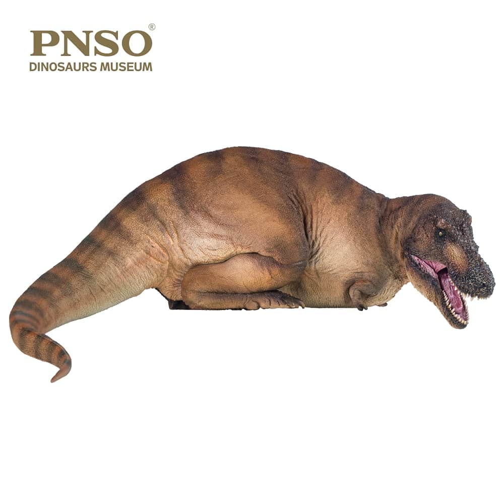 PNSO Serie Museos de Dinosaurios (Andrea El Tyrannosaurus - Imagen 6