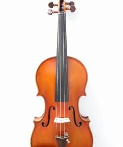 Violín Custom Antique Guarneri Del Gesu 1743 Cannone (4/4 -