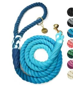 Correa para Perro de Cuerda de Algodón DJANGO | 5 FT Correa