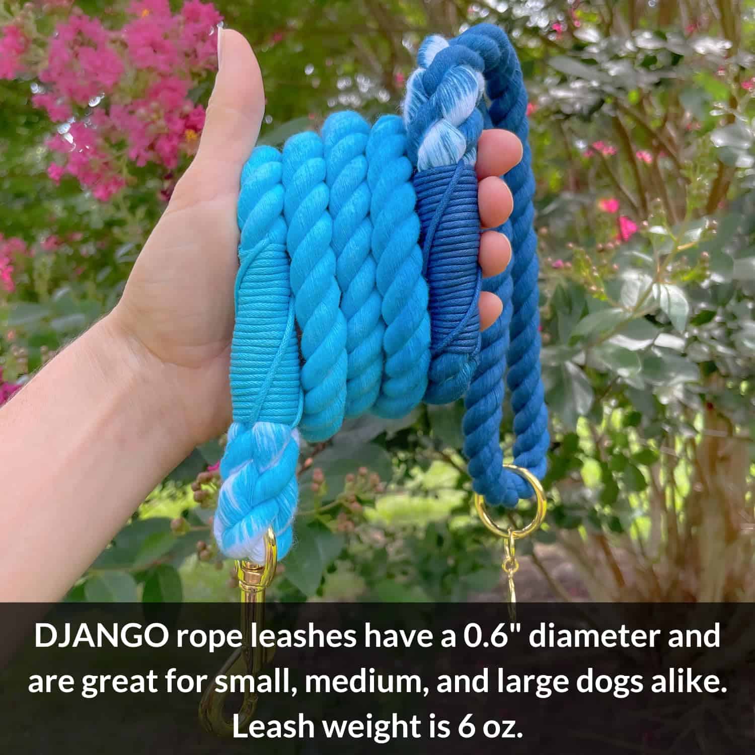 Correa para Perro de Cuerda de Algodón DJANGO | 5 FT Correa - Imagen 4
