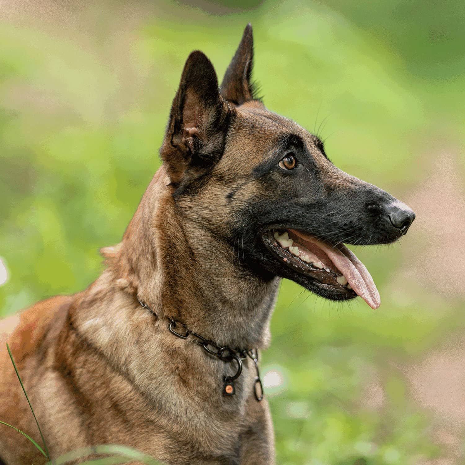 Collar de cadena de acero inoxidable negro ajustable Herm - Imagen 6