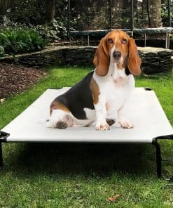 Cama Elevada para Perros BestVida, 35 x 28 x 8 pulgadas