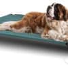 Cama elevada para perros BestVida, 48 x 33 x 8 pulgadas