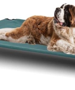 Cama elevada para perros BestVida, 48 x 33 x 8 pulgadas