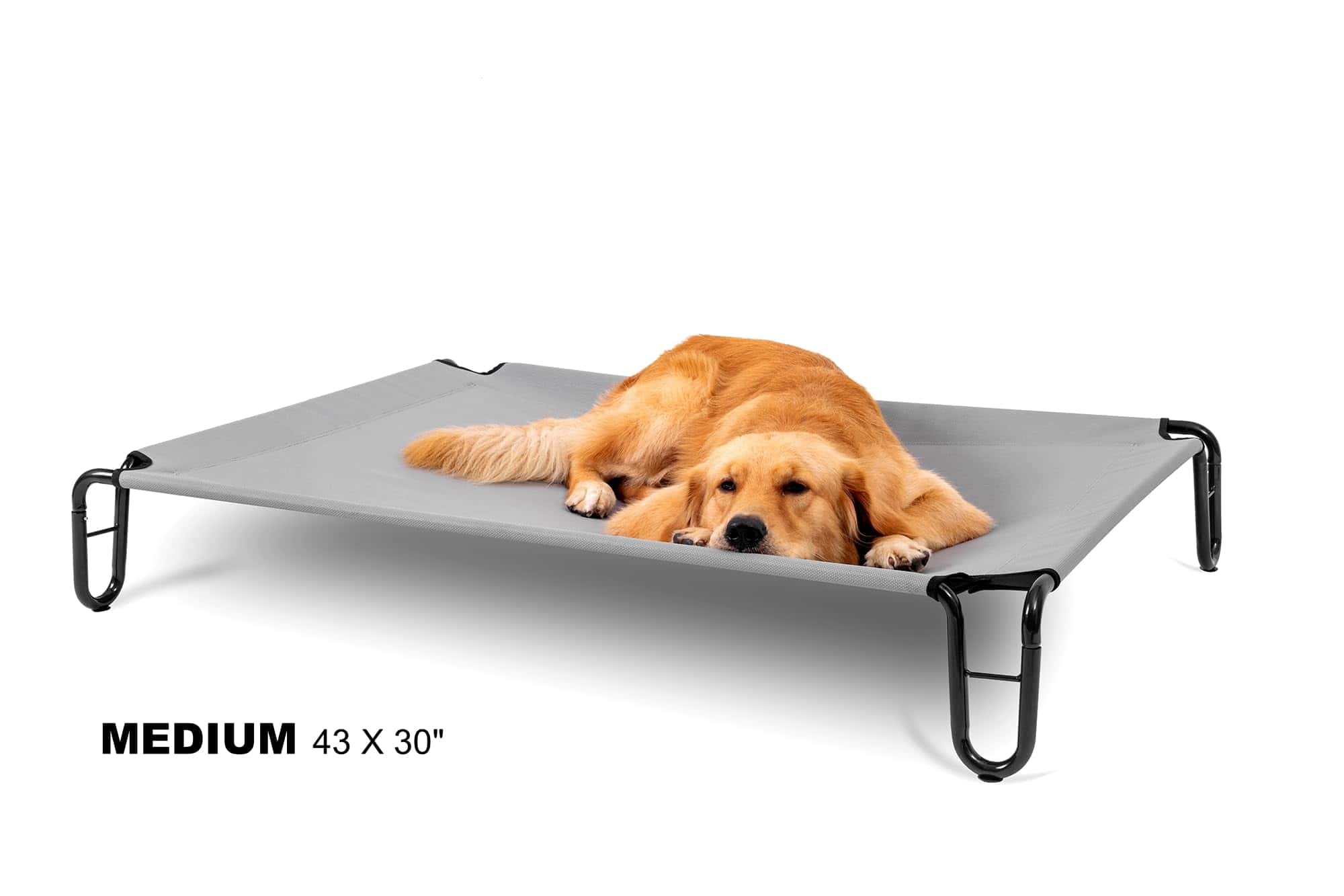 Cama elevada para perros BestVida, 43 x 30 x 8 pulgadas - Imagen 3