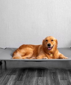 Cama elevada para perros BestVida, 43 x 30 x 8 pulgadas