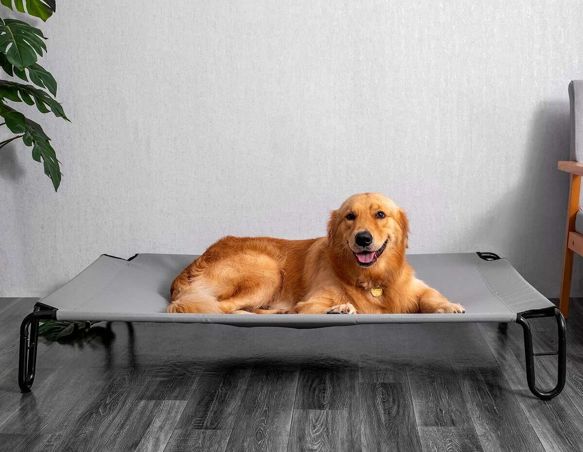 Cama elevada para perros BestVida, 43 x 30 x 8 pulgadas
