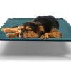 Cama Elevada para Perros BestVida, 35 x 28 x 8 pulgadas