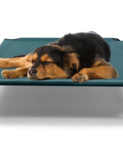 Cama Elevada para Perros BestVida, 35 x 28 x 8 pulgadas