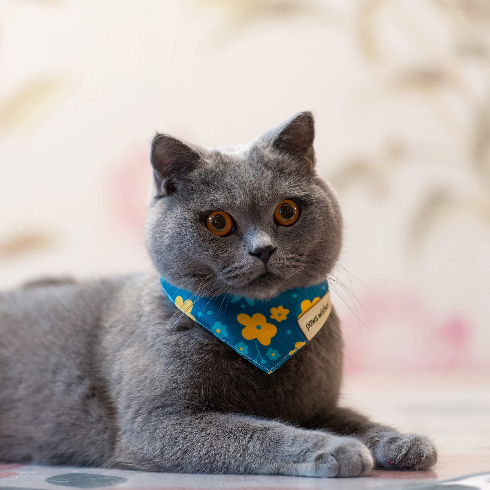 Paws Wishes Mini Dog Cat Collar Bandanas 4 Pack, Forma - Imagen 8