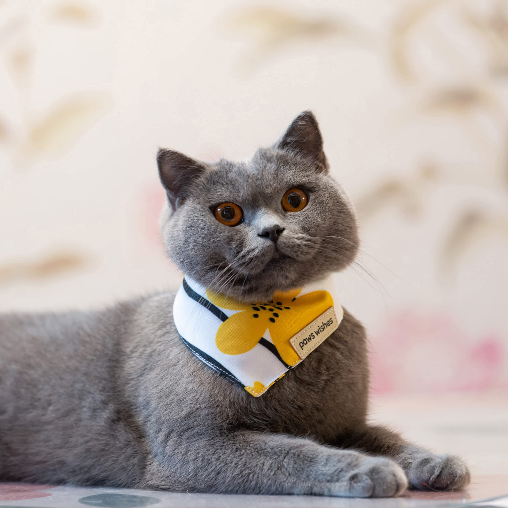 Paws Wishes Mini Dog Cat Collar Bandanas 4 Pack, Forma - Imagen 10