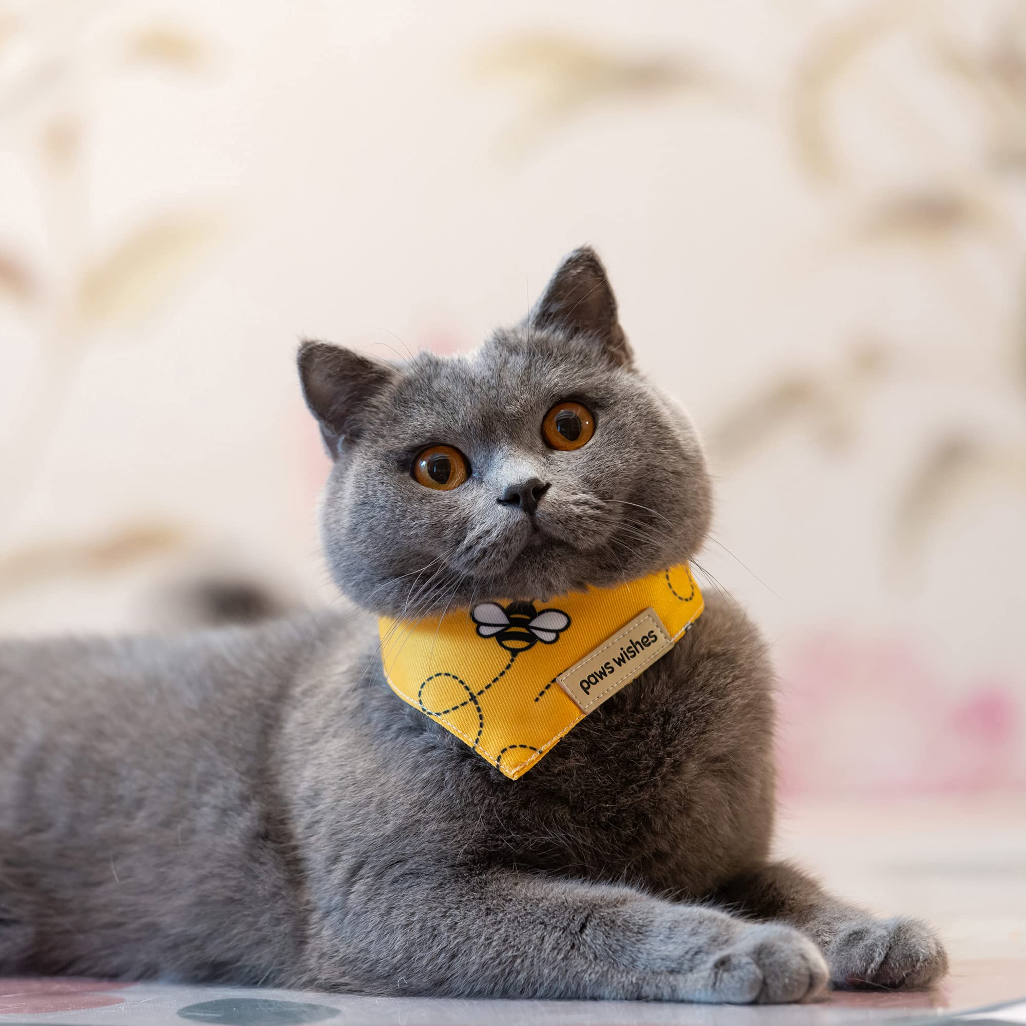 Paws Wishes Mini Dog Cat Collar Bandanas 4 Pack, Forma - Imagen 9