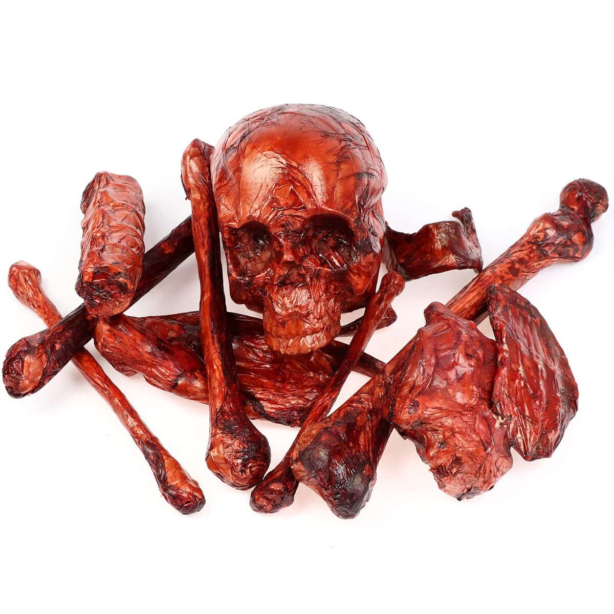 Conjunto de Esqueleto de Halloween Sangriento Falso de 14