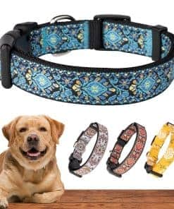 Collares para Perros Pequeños, Medianos y Grandes Regalo de