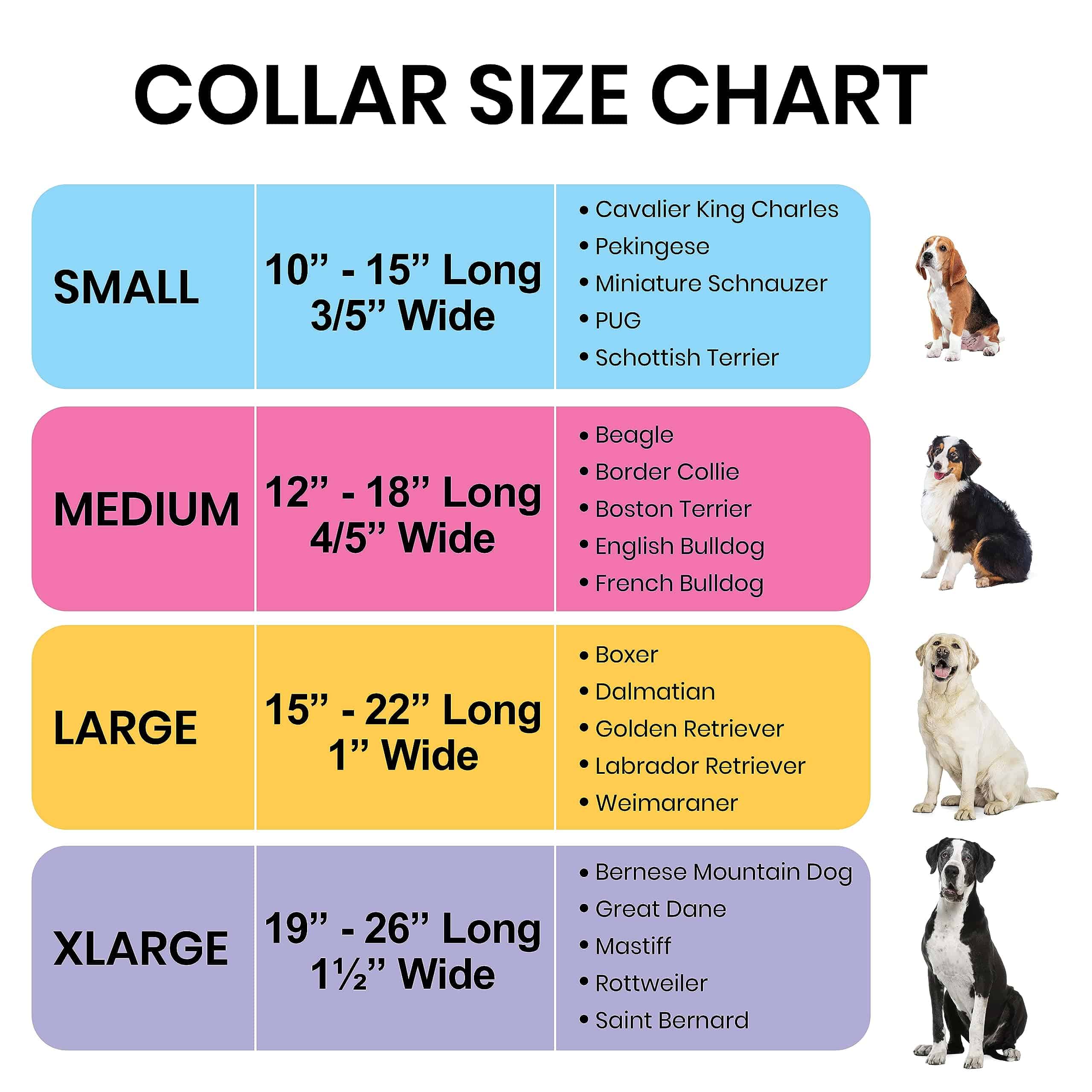 Collar para Perros Pequeños, Medianos y Grandes - - Imagen 8