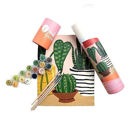 Pink Picasso Kits Pintar por Números Mid Century Modern