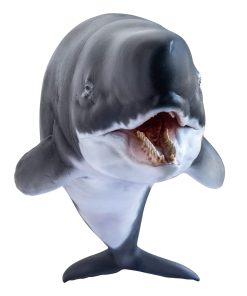 Modelos de Animales Prehistóricos de PNSO (56Requena El