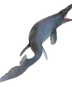 Modelos de Animales Prehistóricos PNSO (57 Evan el