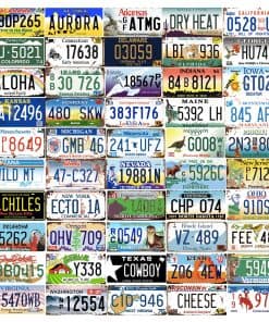 Juego Completo de 50 Estados de EE. UU., Replicas de Placas