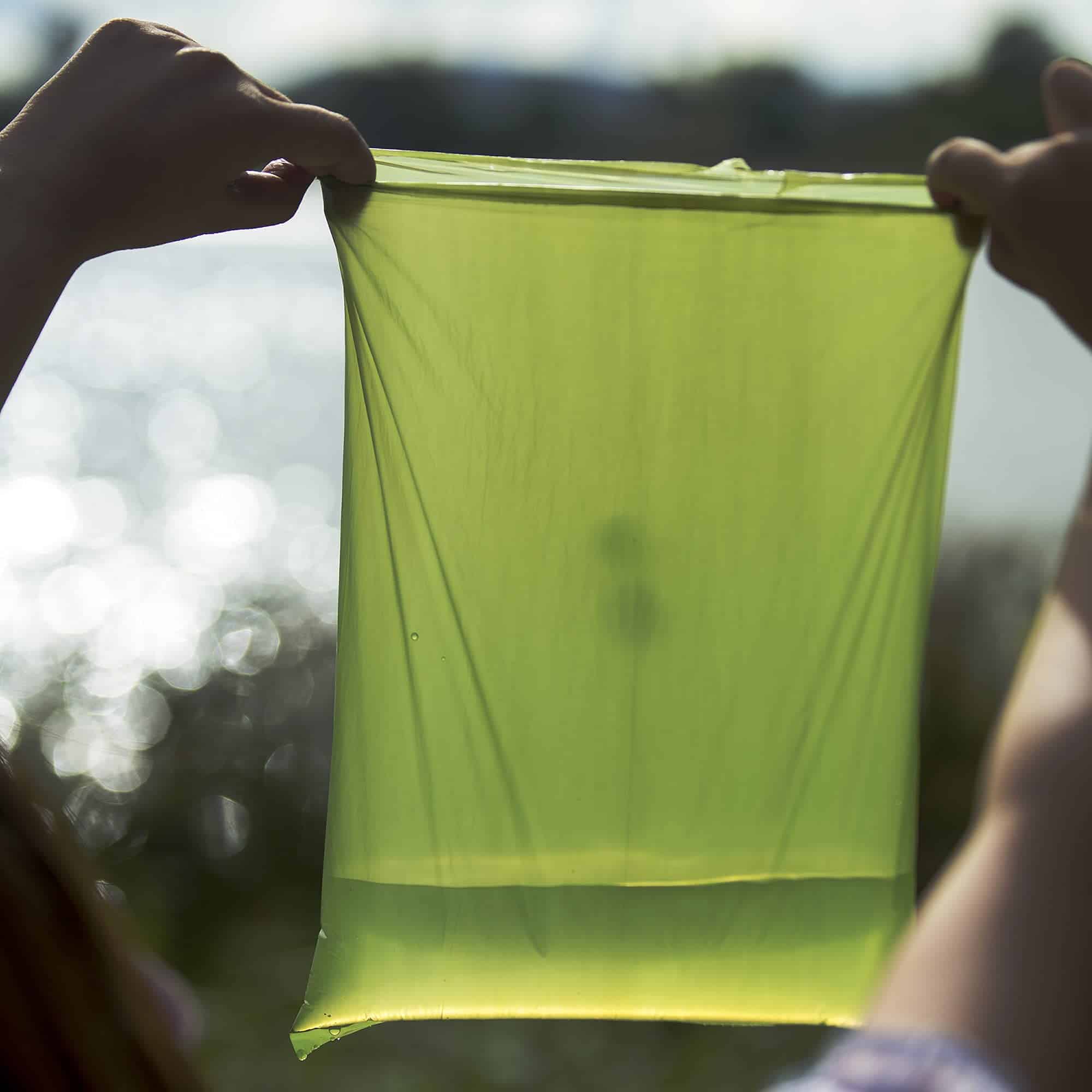 Pethology Juego de Bolsas para Perros - Bolsas Duraderas e - Imagen 6